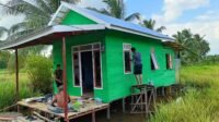 Rehab Rumah Kai Birhasani Hampir Rampung, Fokus pada Pengecatan Rehab Rumah Kai Birhasani Hampir Rampung, Fokus pada Pengecatan
