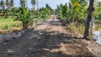 Jalan Tamban Bangun Terus Bertambah, Wasev Tak Ganggu Semangat Warga