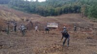 Penanaman Alpukat di Dusun Batulappa sebagai Wujud Kebijakan Ketahanan Pangan Penanaman Alpukat di Dusun Batulappa sebagai Wujud Kebijakan Ketahanan Pangan