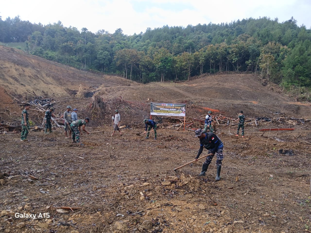 Langkah Awal Budidaya Alpukat di Desa Langi Perkuat Cadangan Pangan