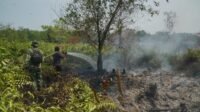 Aksi Gabungan: Dandim 1011/KLK dan Tim Satgas Berhasil Kendalikan Kebakaran Gambut Tumbang Nusa