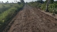 Komandan Satgas soroti peran semangat warga di Tamban Bangun