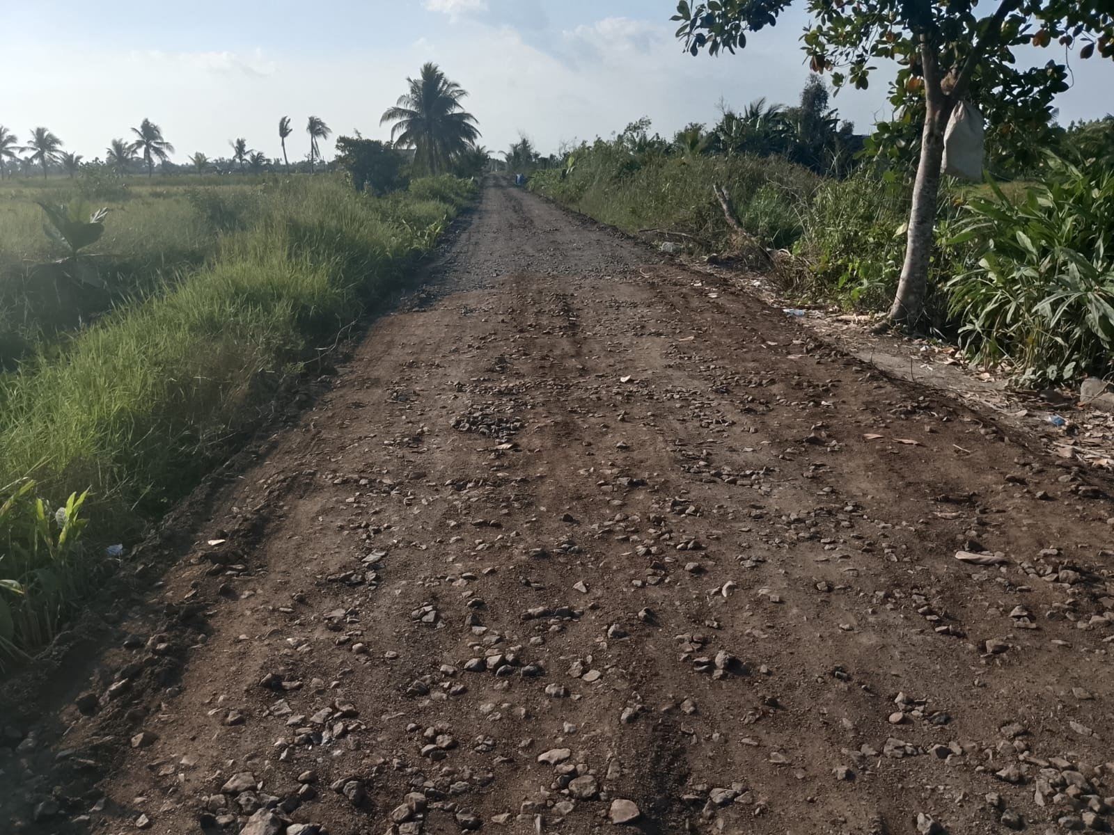 Komandan Satgas soroti peran semangat warga di Tamban Bangun