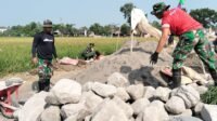 Pekerjaan Dimulai Pagi Hari, Tahapan Gorong-Gorong Dikebut Pekerjaan Dimulai Pagi Hari, Tahapan Gorong-Gorong Dikebut