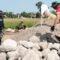 Pekerjaan Dimulai Pagi Hari, Tahapan Gorong-Gorong Dikebut