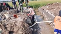 Tahapan Pekerjaan Gorong-Gorong Dimulai dari Penggalian hingga Pengecoran Tahapan Pekerjaan Gorong-Gorong Dimulai dari Penggalian hingga Pengecoran