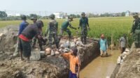 Cara Estafet Warga-Aparat Permudah Pengangkutan Material di Parangjoro