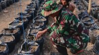 Inisiatif Hidroponik Satgas TMMD untuk Petani Parangjoro Inisiatif Hidroponik Satgas TMMD untuk Petani Parangjoro