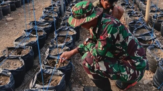 Inisiatif Hidroponik Satgas TMMD untuk Petani Parangjoro