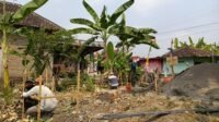 TMMD Kodim 0726/Sukoharjo Bangun Pos Siskamling di Desa Parangjoro TMMD Kodim 0726/Sukoharjo Bangun Pos Siskamling di Desa Parangjoro
