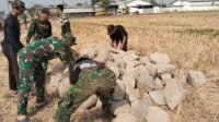 Desa Parangjoro Sukoharjo: Talud Baru Hasil Gotong Royong Prajurit dan Warga