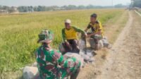 TMMD Reguler Ke-129: Keakraban Warga Parangjoro dan Prajurit Terbangun TMMD Reguler Ke-129: Keakraban Warga Parangjoro dan Prajurit Terbangun