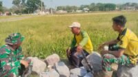 Dialog Harian antara Satgas dan Warga Perkuat Solidaritas di Parangjoro Dialog Harian antara Satgas dan Warga Perkuat Solidaritas di Parangjoro