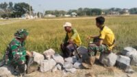 Obrolan Ringan di Tepi Sawah Perkuat Kerja Sama TMMD di Parangjoro