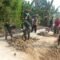 Gotong Royong di Parangjoro: Tanah Jalan Dirapikan Tanpa Alat Berat