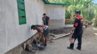 Plesteran Pondasi Rumah Bella Dikerjakan Serma Abidin dan Satgas TMMD Plesteran Pondasi Rumah Bella Dikerjakan Serma Abidin dan Satgas TMMD