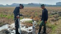 Desa Parangjoro Dapat Sumur Bor Perpompaan lewat TMMD Reguler 129