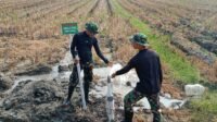 Program TMMD ke-129 Hadirkan Sumur Bor Perpompaan untuk Petani Parangjoro Program TMMD ke-129 Hadirkan Sumur Bor Perpompaan untuk Petani Parangjoro