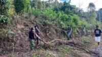 Membersihkan Jejak Pembangunan: Satgas TMMD 129 Kodim 1407/Bone Rapikan Jalan Bontocani Membersihkan Jejak Pembangunan: Satgas TMMD 129 Kodim 1407/Bone Rapikan Jalan Bontocani
