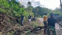 Bersihkan Sisa Pekerjaan, Kodim 1407/Bone Pastikan Jalan TMMD Siap Pakai Bersihkan Sisa Pekerjaan, Kodim 1407/Bone Pastikan Jalan TMMD Siap Pakai