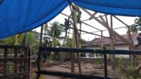 Bilah Reng Dipasang, Rehab Rumah T.M. Nur di Sarah Raya Capai Tahap Kritis