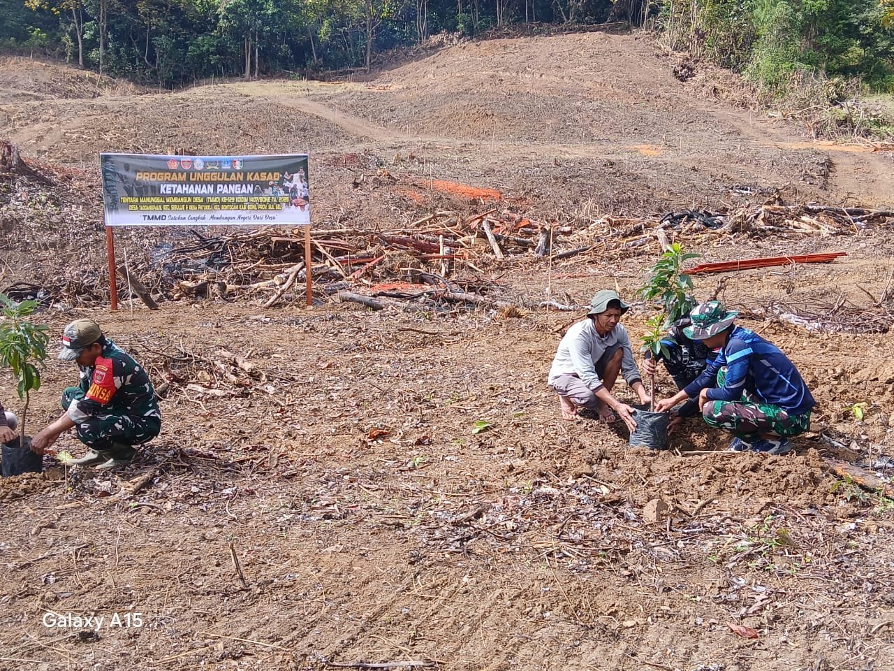 Barisan Bibit Alpukat Hiasi Lereng Dusun Batulappa, Warga Optimis
