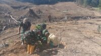 Bibit Alpukat Dipasok ke Titik Terencana di Dusun Batulappa, Wujudkan Ruang Hijau dan Ketahanan Pangan Bibit Alpukat Dipasok ke Titik Terencana di Dusun Batulappa, Wujudkan Ruang Hijau dan Ketahanan Pangan