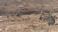 TMMD Ke-129 Tanam Alpukat di Desa Langi, Fokus Jaga Kelestarian dan Ketahanan Pangan TMMD Ke-129 Tanam Alpukat di Desa Langi, Fokus Jaga Kelestarian dan Ketahanan Pangan