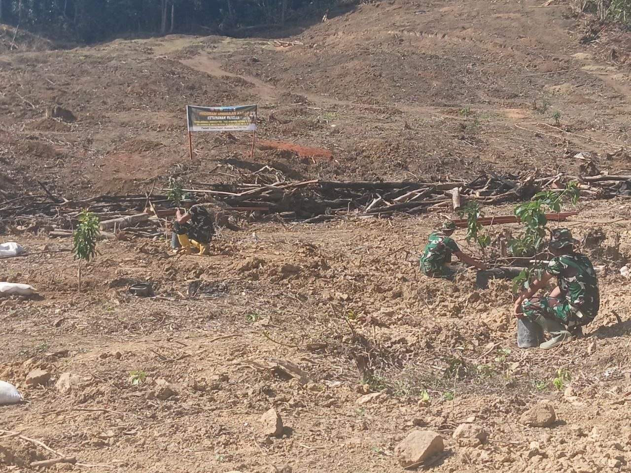 Penghijauan Batulappa: Bibit Alpukat Ditanam oleh Satgas dan Warga