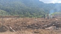 Desa Langi-TMMD 129: Penanaman Alpukat sebagai Investasi Ketahanan Pangan Desa Langi-TMMD 129: Penanaman Alpukat sebagai Investasi Ketahanan Pangan
