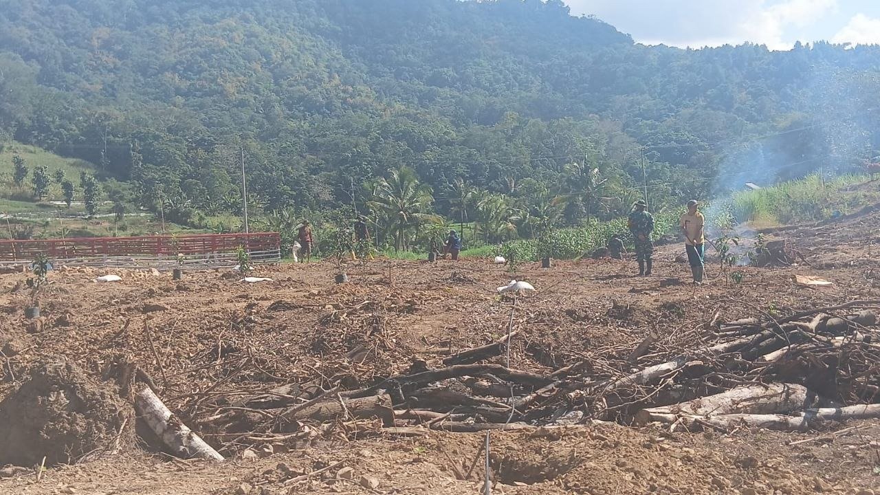 Desa Langi-TMMD 129: Penanaman Alpukat sebagai Investasi Ketahanan Pangan