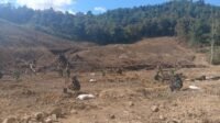 Satgas TMMD 1407/Bone Tanam Alpukat di Langi untuk Penghijauan Bernilai Ekonomi Satgas TMMD 1407/Bone Tanam Alpukat di Langi untuk Penghijauan Bernilai Ekonomi