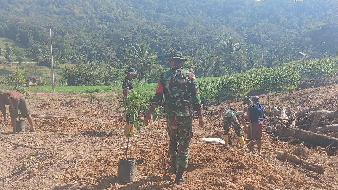 Sasaran Nonfisik TMMD ke-129: Bibit Alpukat Mulai Ditanam di Desa Langi