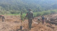 Dusun Batulappa Jadi Lokasi Penanaman Alpukat oleh Satgas TMMD Kodim 1407/Bone Dusun Batulappa Jadi Lokasi Penanaman Alpukat oleh Satgas TMMD Kodim 1407/Bone
