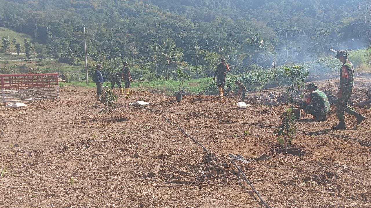 Alpukat sebagai Pilihan Penghijauan TMMD di Desa Langi