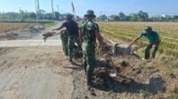 Bahu Jalan Sukoharjo Dipadatkan Usai Pembangunan Gorong-Gorong oleh Satgas TMMD