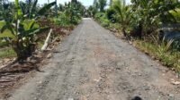 95% Pekerjaan Jalan Tamban Bangun Rampung, Satgas TMMD Fokus Benahi Ujung Jalur