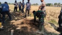 Tahap Akhir Penataan Talud di Parangjoro, Akses Jalan Warga Makin Terlindungi Tahap Akhir Penataan Talud di Parangjoro, Akses Jalan Warga Makin Terlindungi