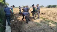 Talud Jalan Parangjoro Capai Tahap Akhir, Fokus pada Kerapian Bahu Jalan Talud Jalan Parangjoro Capai Tahap Akhir, Fokus pada Kerapian Bahu Jalan