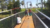 Cat Baru untuk Jembatan Gantung Tadang Palie: Upaya Memelihara Manfaat Infrastruktur Cat Baru untuk Jembatan Gantung Tadang Palie: Upaya Memelihara Manfaat Infrastruktur