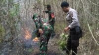 Babat Potensi Meluas, Koramil Bengkal Segera Tangani Hotspot Batu Balai