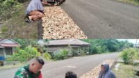 Pendampingan Babinsa Koramil 02/Teluk Dalam Dorong Petani Jaga Kualitas Pinang Pendampingan Babinsa Koramil 02/Teluk Dalam Dorong Petani Jaga Kualitas Pinang