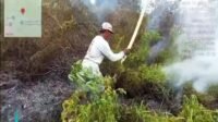 Sigap Padamkan Kebakaran Lahan, Babinsa Marga Mulya Gandeng Warga