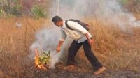 Aksi Babinsa dan Warga Padamkan Api di Sermayam Indah, Cegah Kebakaran Meluas Aksi Babinsa dan Warga Padamkan Api di Sermayam Indah, Cegah Kebakaran Meluas