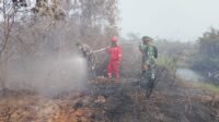 Tim Gabungan Padamkan Karhutla di Desa Beringin, Dampak 0,6 Ha Lahan Gambut Tim Gabungan Padamkan Karhutla di Desa Beringin, Dampak 0,6 Ha Lahan Gambut