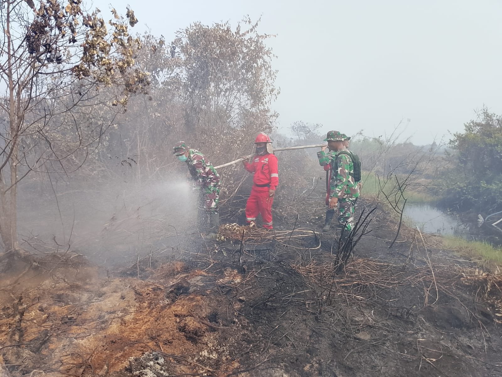 Tim Gabungan Padamkan Karhutla di Desa Beringin, Dampak 0,6 Ha Lahan Gambut