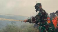 Dandim 1203/Ketapang Turun Bersama Forkopimda Padamkan Karhutla di Desa Sungai Pelang Dandim 1203/Ketapang Turun Bersama Forkopimda Padamkan Karhutla di Desa Sungai Pelang
