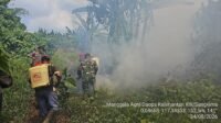 Koramil Padamkan Kebakaran 3 Hektare di Kutai Timur, Sumber Api Masih Diselidiki