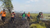 Padamkan Karhutla di Masta, TRC BPBD dan TNI Kendalikan Api di 3 Hektare Lahan