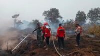 Koramil 1203-05/Laur dan Mitra Kerja Redam Karhutla di Desa Teluk Mutiara